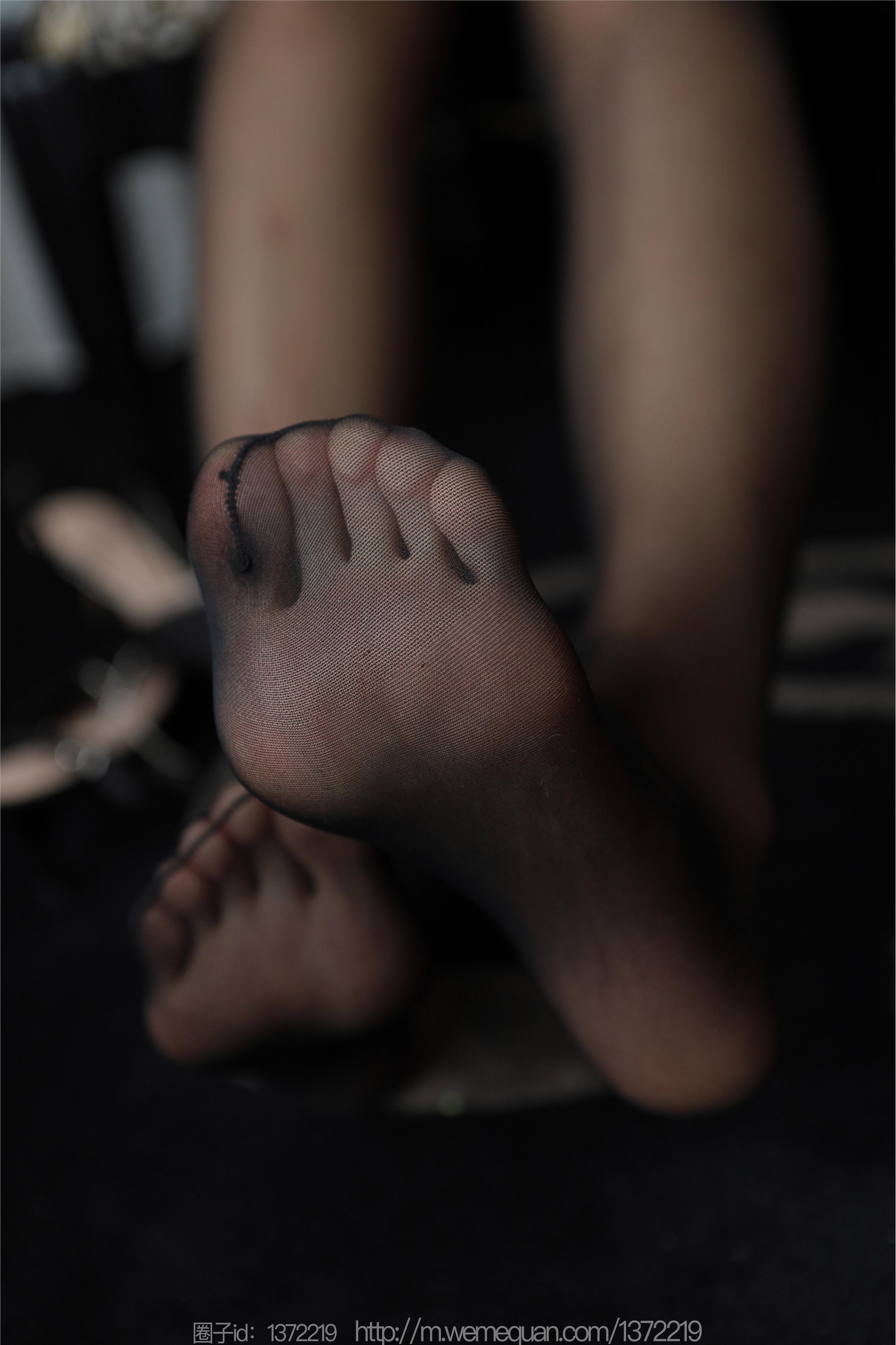 IESS异思趣向  2023.03.11 丝享家 1387 小宝《红玫瑰雷丝》